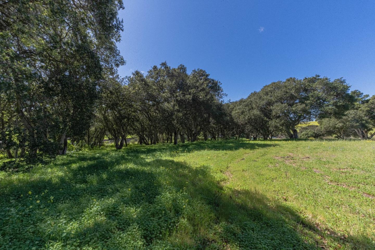 16787 Blackie Road Salinas, CA 93907 - Photo 16 of 16 a view of a field with trees in the background