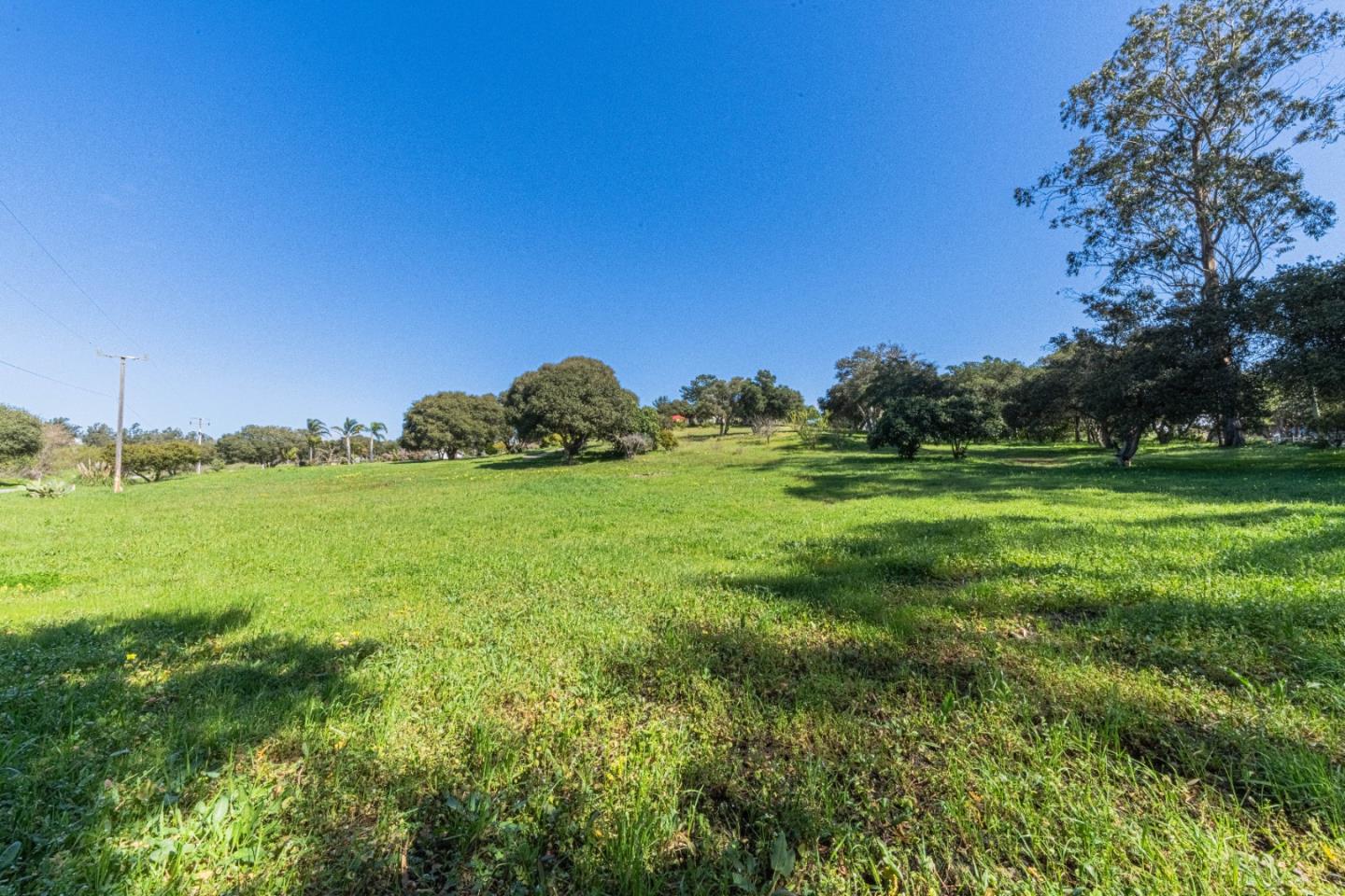 16787 Blackie Road Salinas, CA 93907 - Photo 3 of 16 a view of a grassy field with an trees