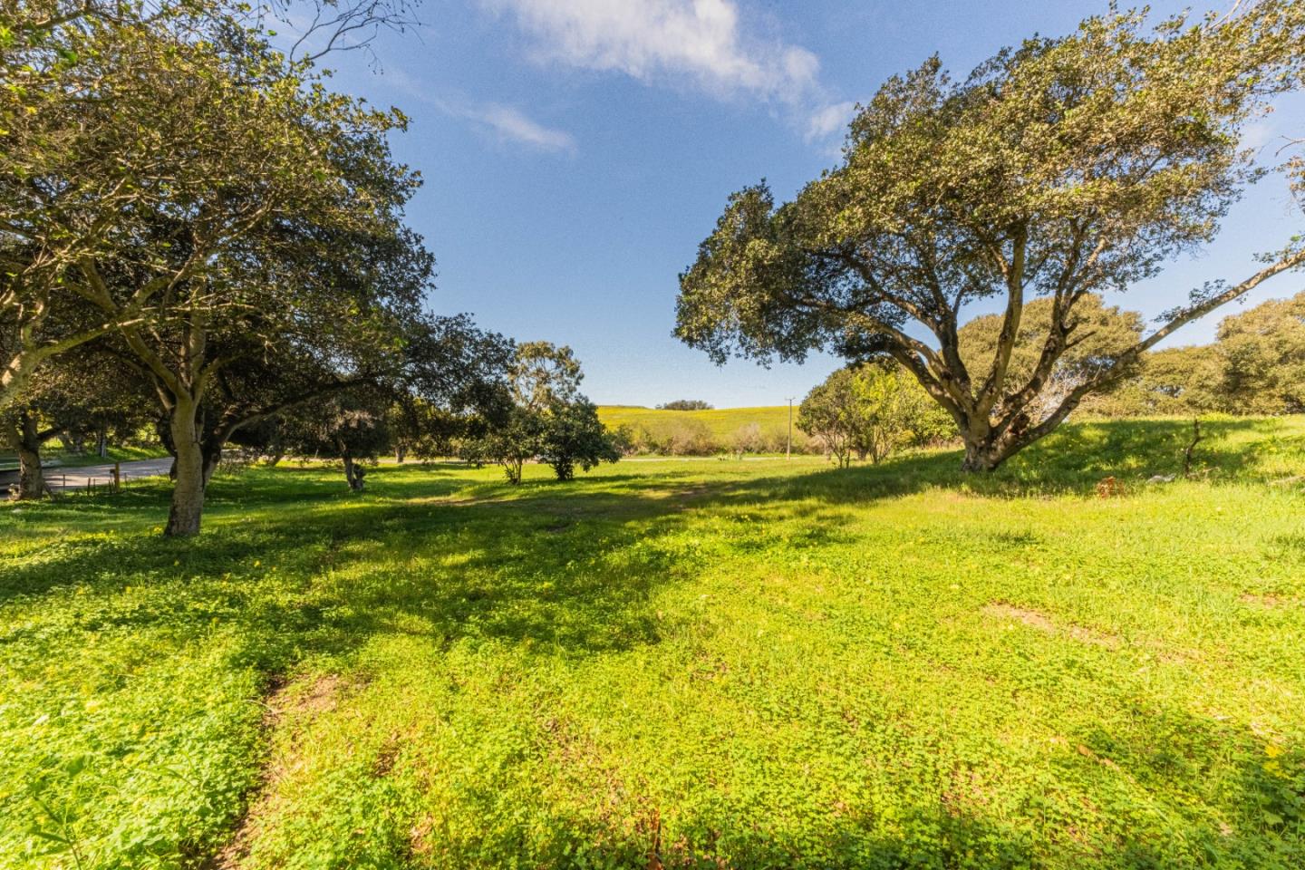 16787 Blackie Road Salinas, CA 93907 - Photo 6 of 16 a view of swimming pool with an outdoor space