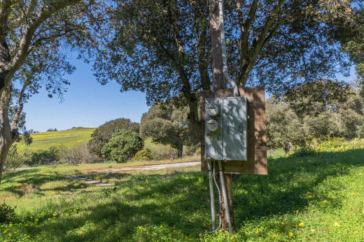 16787 Blackie Road Salinas, CA 93907 - Photo 8 of 16 a view of a yard with a tree