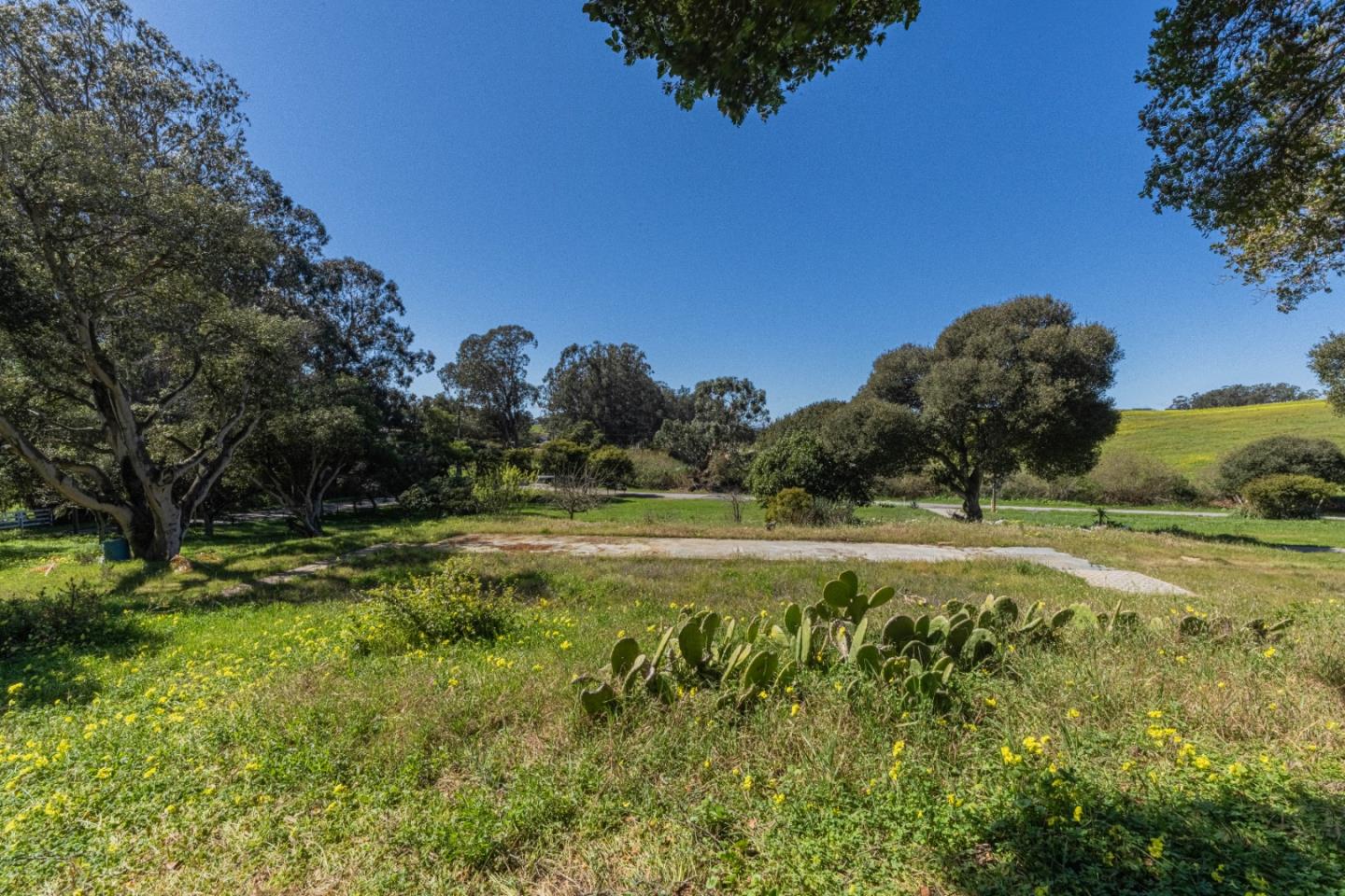 16787 Blackie Road Salinas, CA 93907 - Photo 9 of 16 a yard with lots of green space