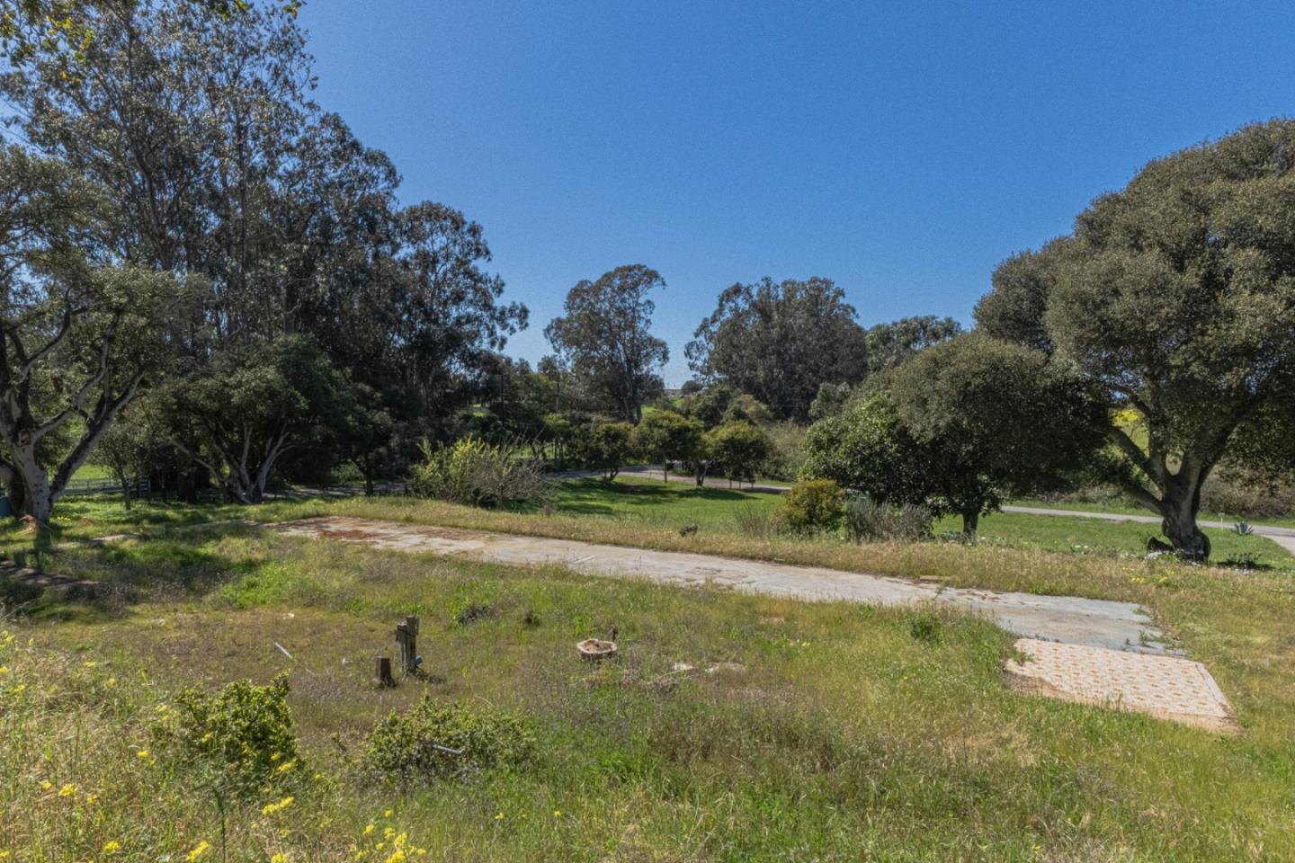 16787 Blackie Road Salinas, CA 93907 - Photo 10 of 16 a view of a field with trees