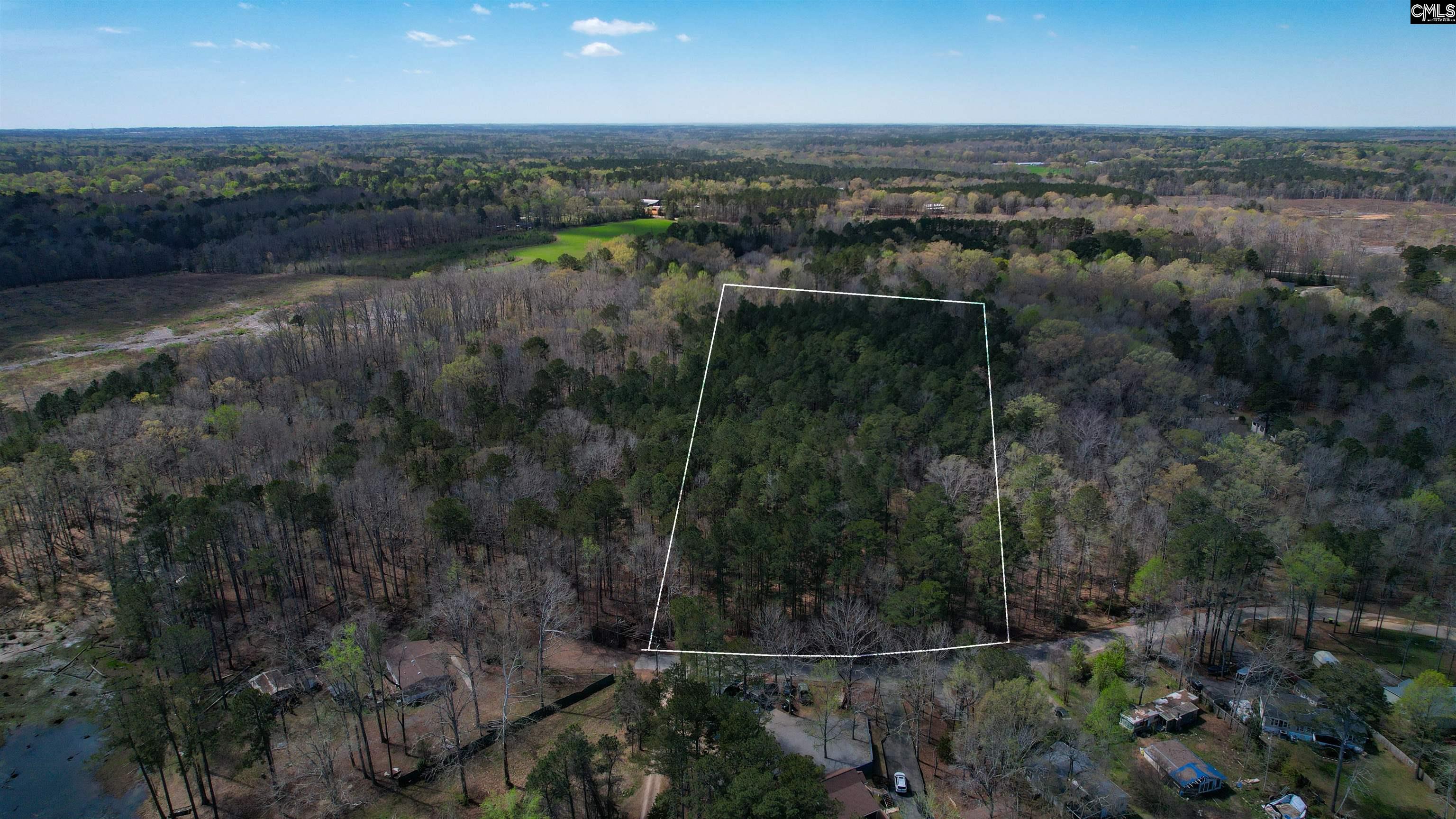 650 Horse Creek Road Leesville, SC 29070 - Photo 1 of 10