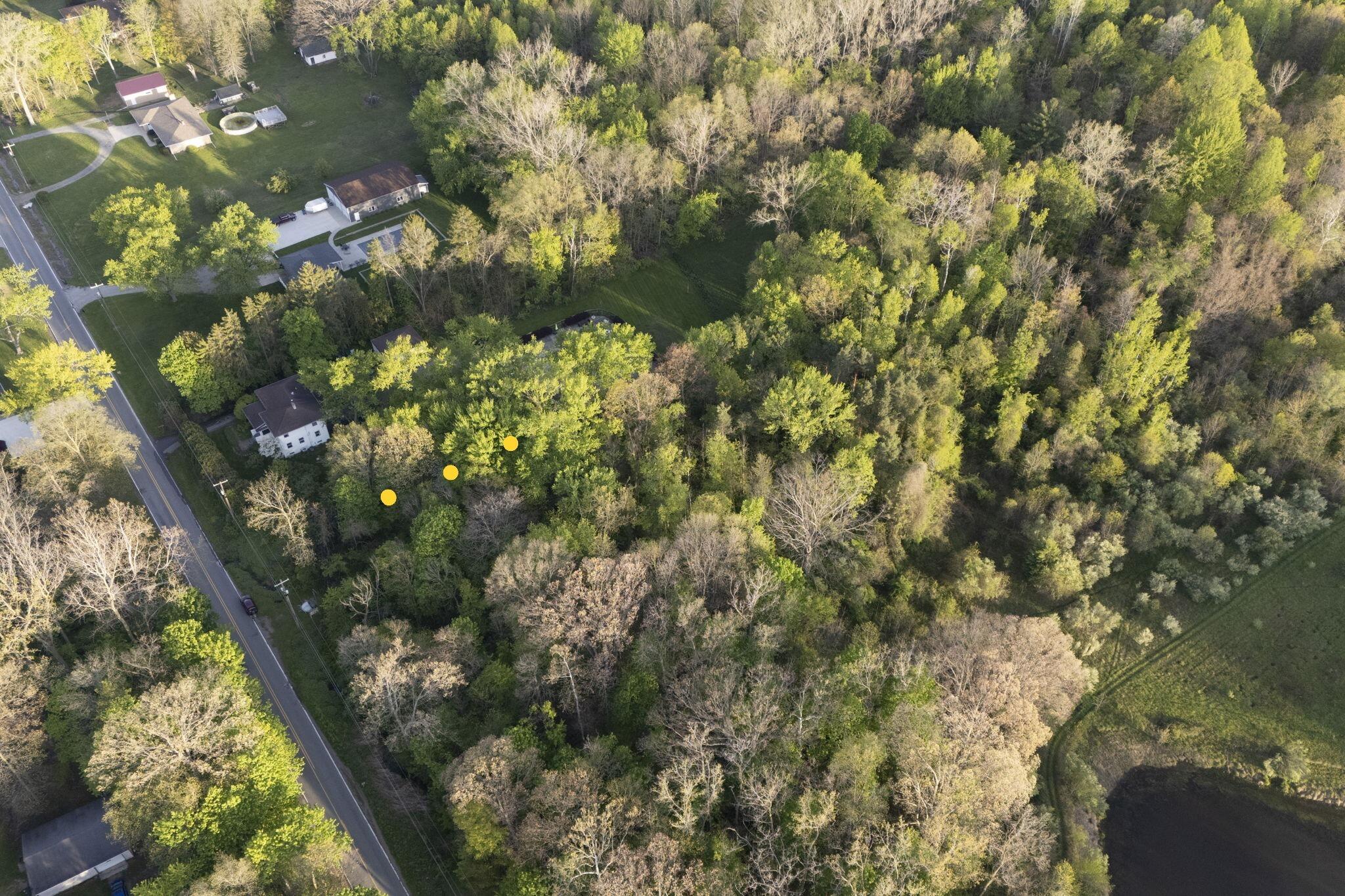 5295 A Browntown Road Bridgman, MI 49106 - Photo 2 of 4 Acreage 47.39 +/-