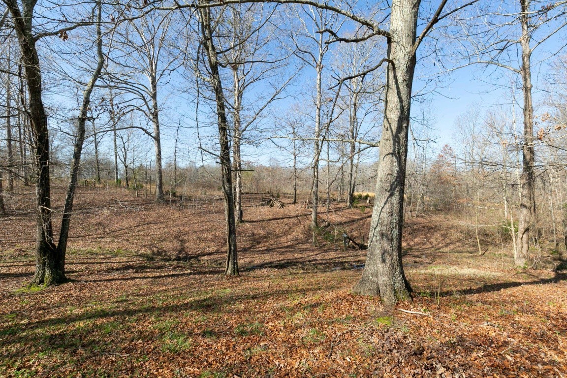 9812 Rocky Point Road Bon Aqua, TN 37025 - Photo 20 of 48 a view of a yard with wooden fence