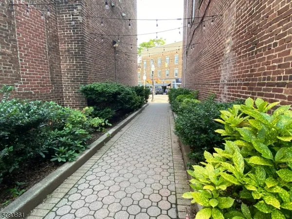 a view of a garden with pathway
