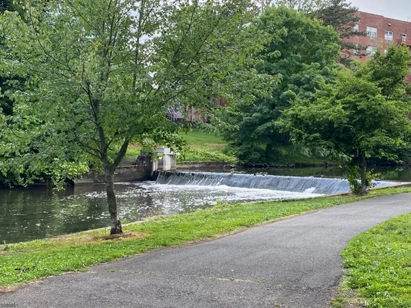 a view of a yard with a large tree