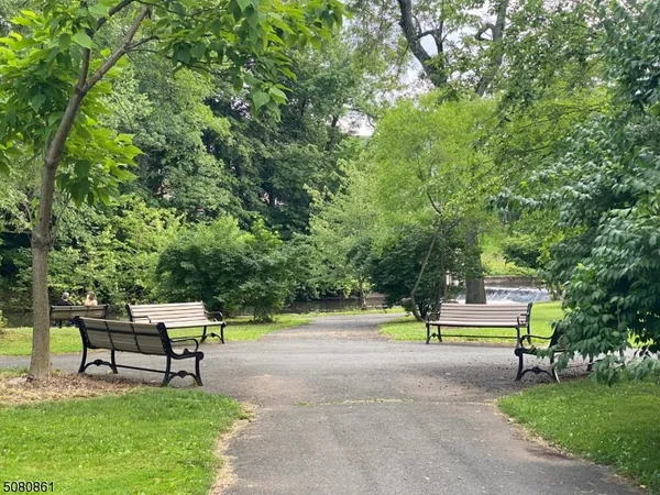 a park view with a bench and trees