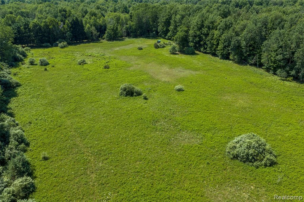 0 Applegate Road Sandusky, MI 48471 - Photo 7 of 15