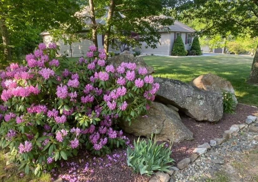 40 Hemlock Drive Ringtown, PA 17967 - Photo 50 of 50