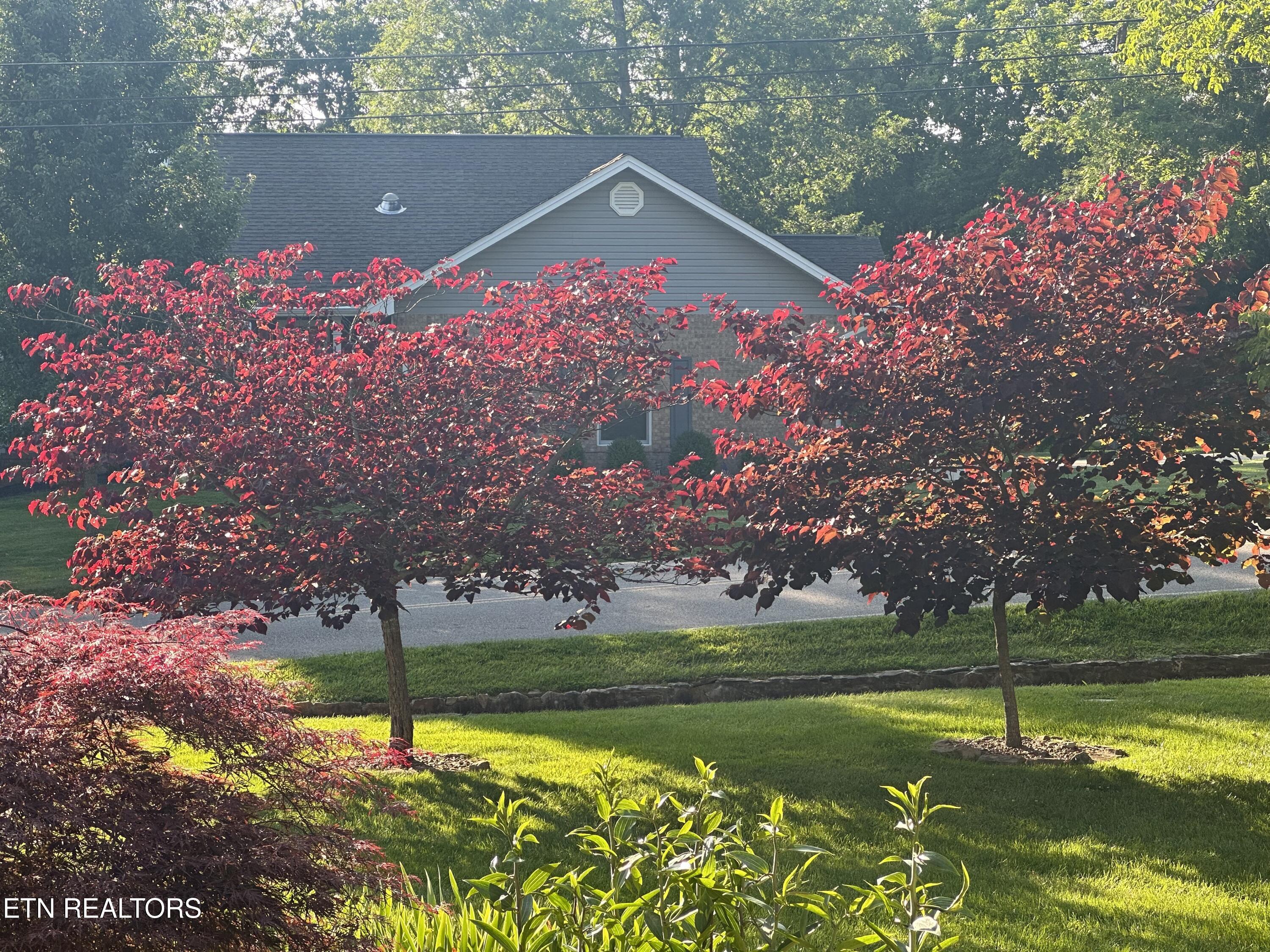 161 Greenwood Road Crossville, TN 38558 - Photo 6 of 8 Established Landscaping