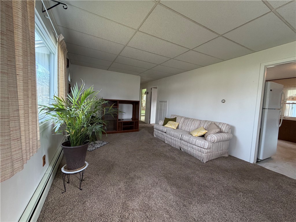 76 Mill Street Waterloo, NY 13165 - Photo 6 of 20