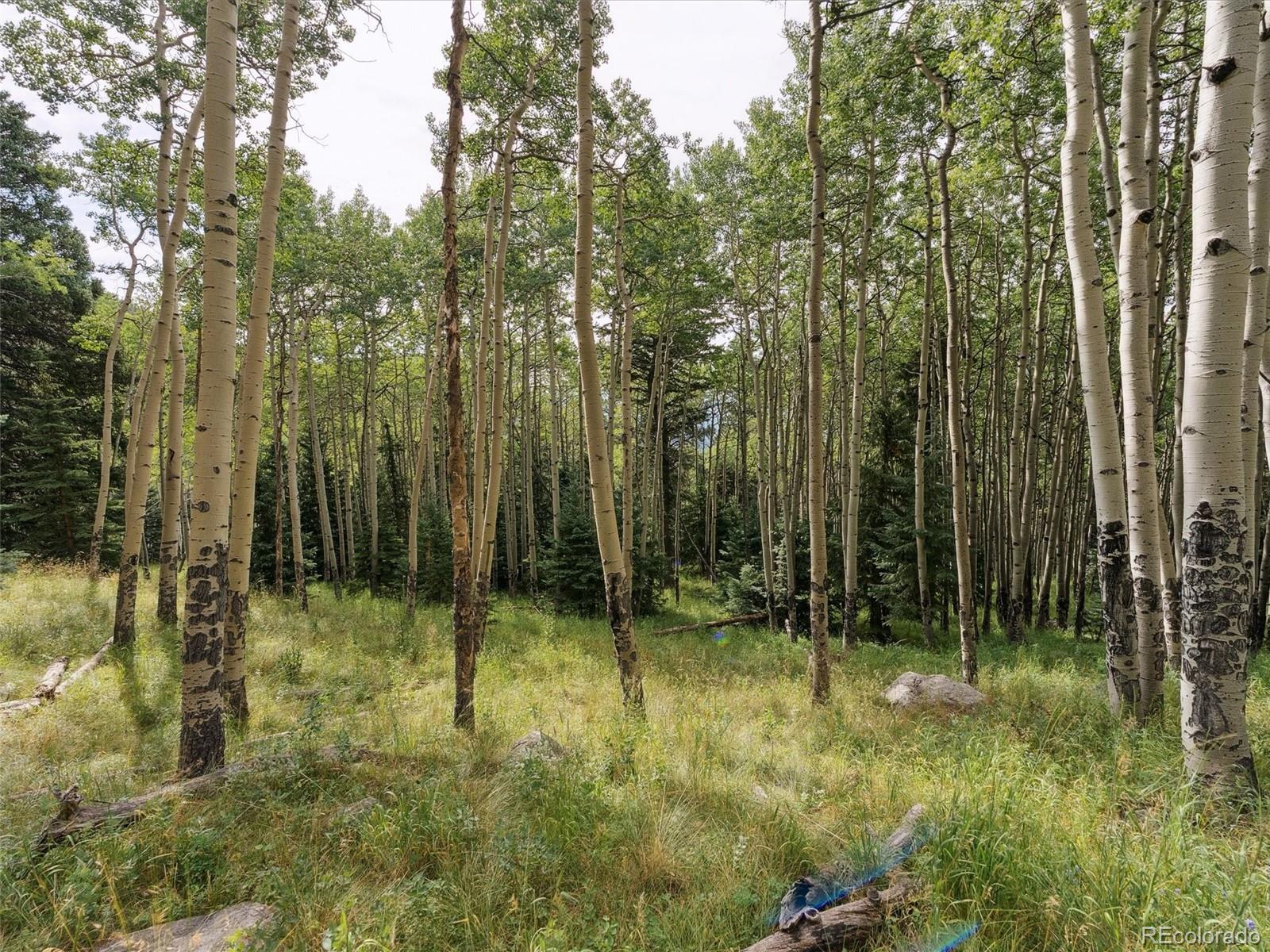 0 Snyder Mountain Road Evergreen, CO 80439 - Photo 33 of 46