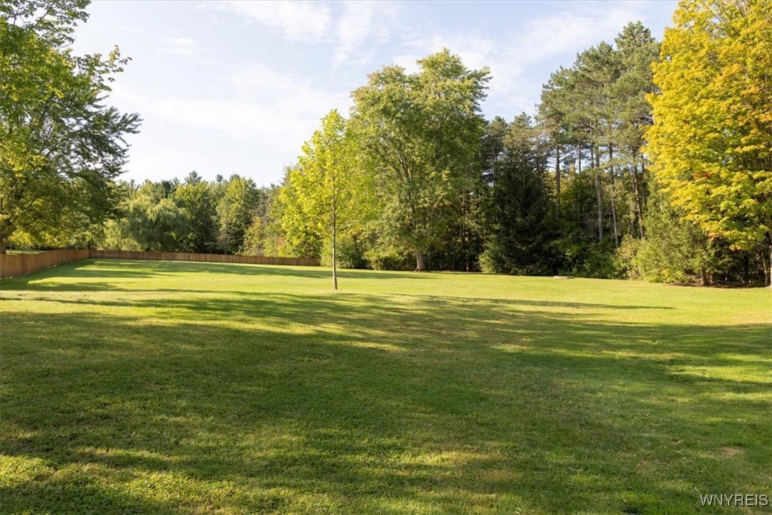 7555 Ellicott Road Orchard Park, NY 14170 - Photo 40 of 45 BEAUTIFUL LAWN