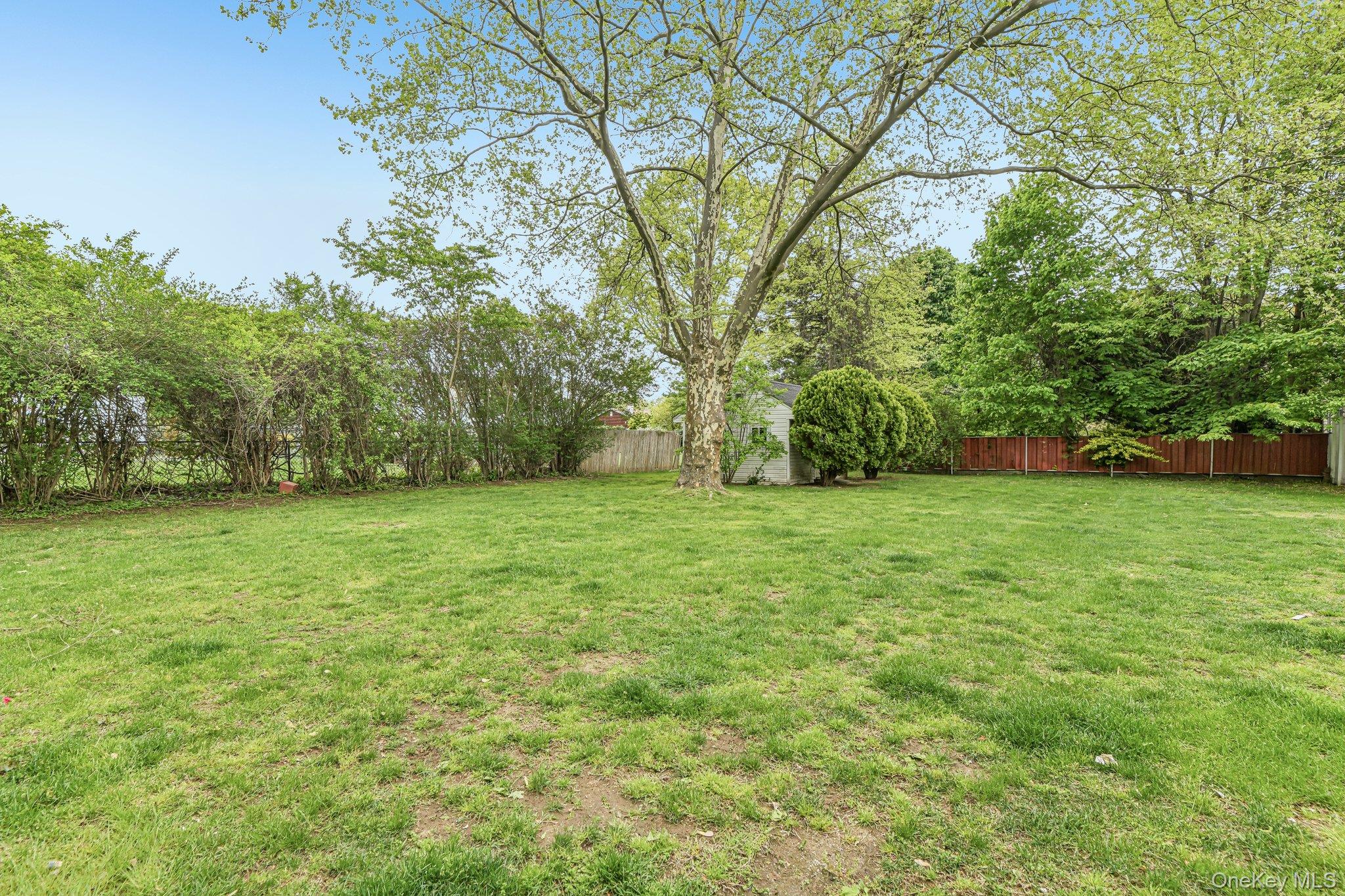 237 Cedar Road East Northport, NY 11731 - Photo 39 of 45 Plenty of room for a pool if desired.