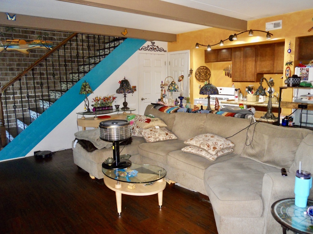 108 Kenneth Circle Elgin, IL 60120 - Photo 5 of 28 a living room with furniture and a rug