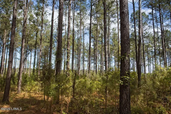 $700,000 | 1342 Thomas Hamilton Road, Brunson, SC 29911