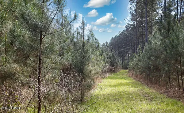 $700,000 | 1342 Thomas Hamilton Road, Brunson, SC 29911