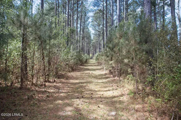$700,000 | 1342 Thomas Hamilton Road, Brunson, SC 29911