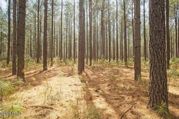 $700,000 | 1342 Thomas Hamilton Road, Brunson, SC 29911