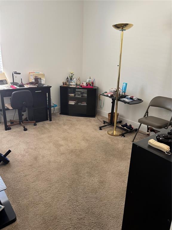 10923 Blue Magnolia Lane Parrish, FL 34219 - Photo 15 of 31