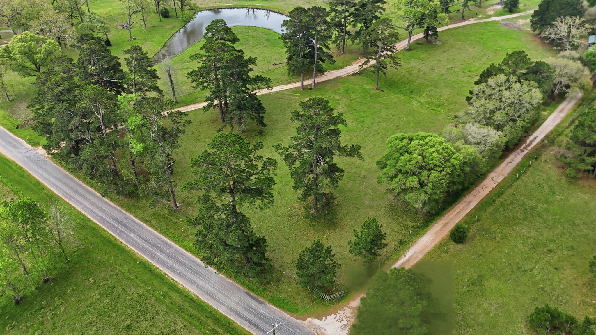 882 Four Notch Road Huntsville, TX 77340 - Photo 14 of 41 Gallery Image 14