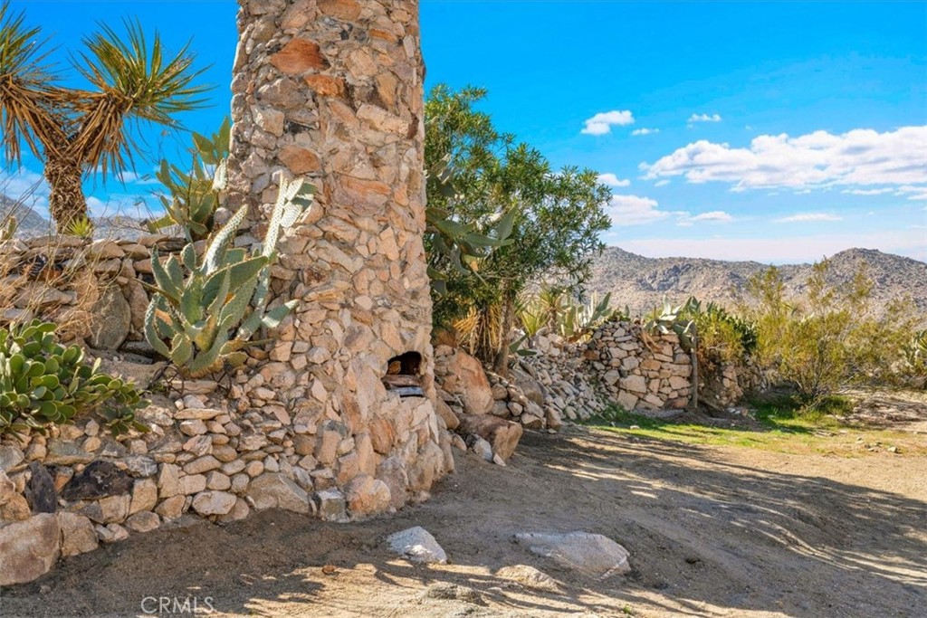 62238 Rincon Road Joshua Tree, CA 92252 - Photo 48 of 60 a view of a yard with an trees