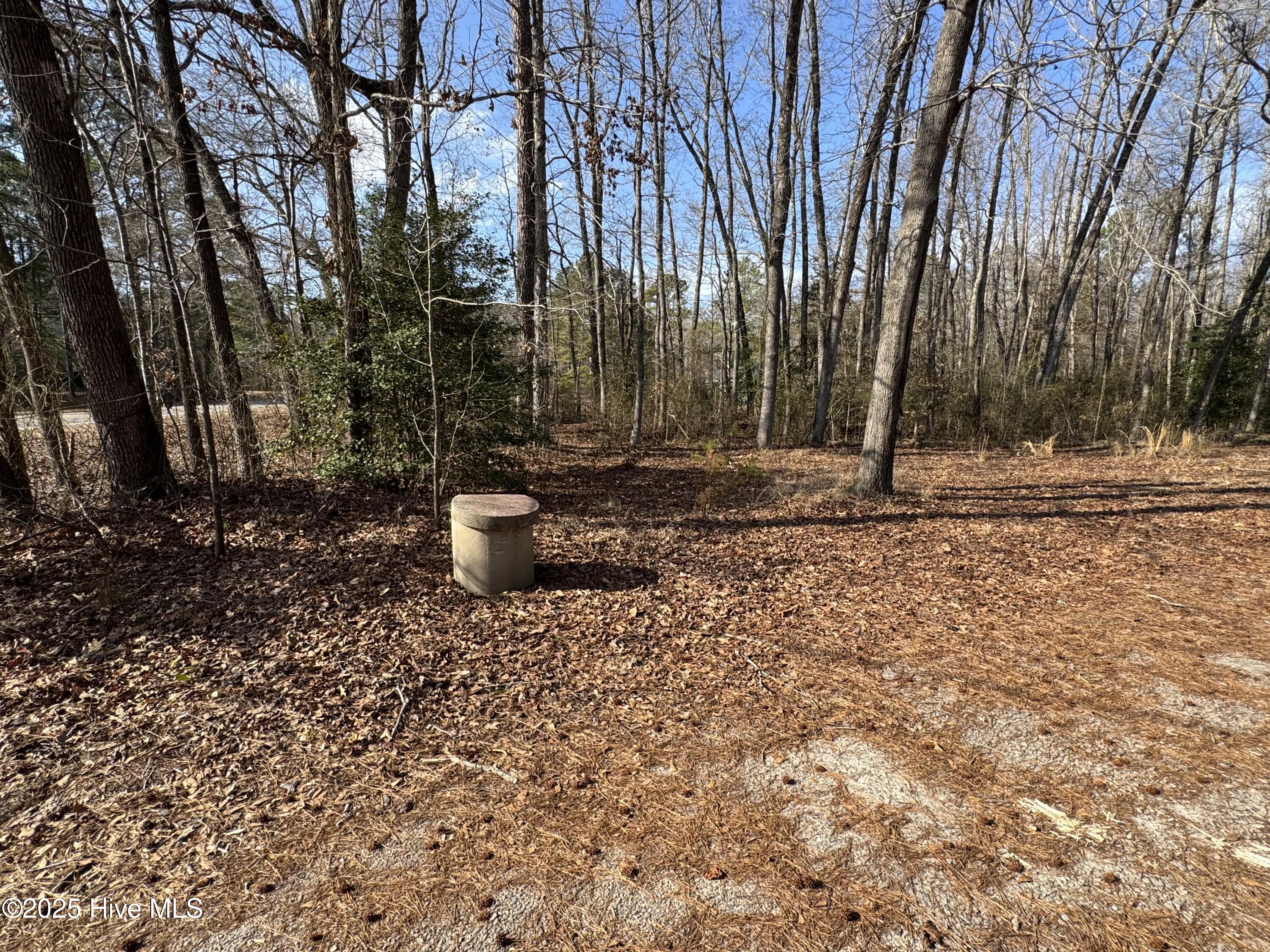 979 Aiken Road Vass, NC 28394 - Photo 24 of 26 979 Aiken Rd 24
