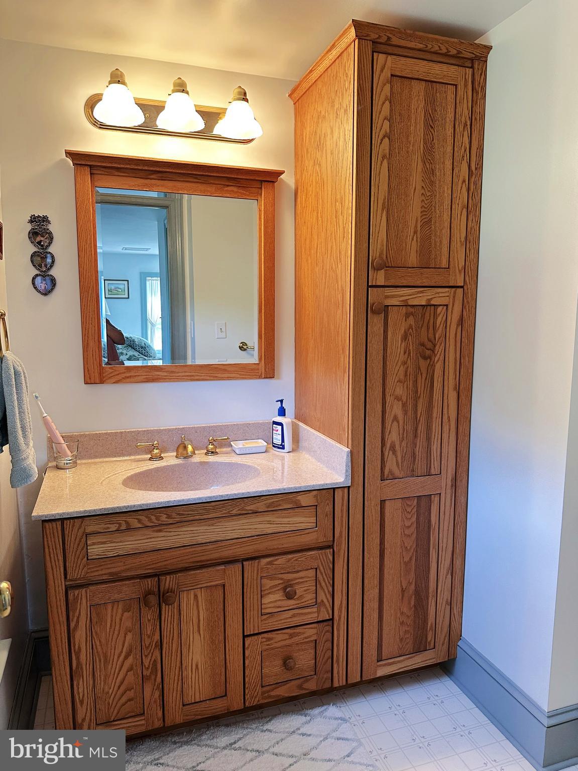 2382 Bergey Road Harleysville, PA 19438 - Photo 39 of 52 a bathroom with a sink and a mirror