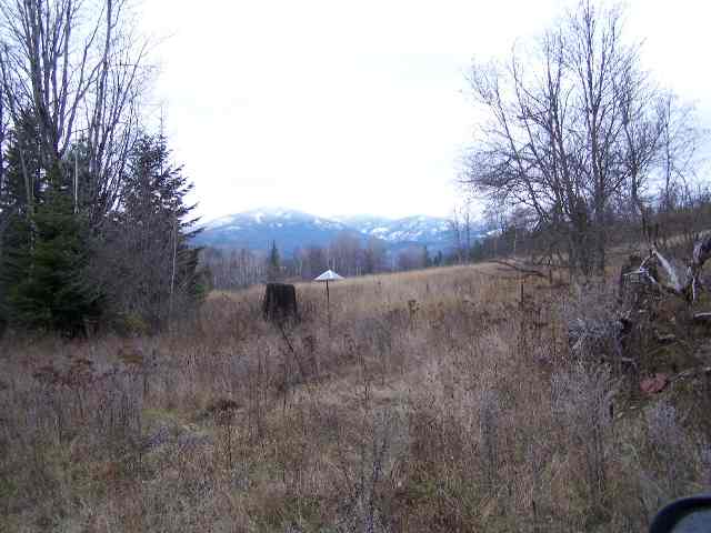 Off Oliver Road Ione, WA 99139 - Photo 1 of 3 Gallery Image 1