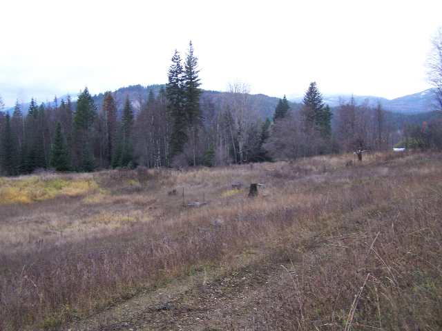 Off Oliver Road Ione, WA 99139 - Photo 2 of 3 Gallery Image 2