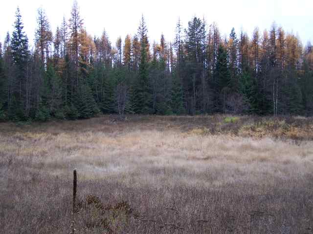 Off Oliver Road Ione, WA 99139 - Photo 3 of 3 Gallery Image 3
