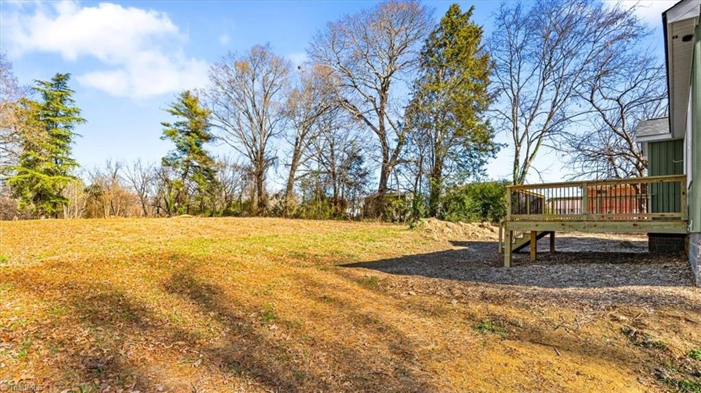 125 Albertson Road Thomasville, NC 27360 - Photo 36 of 44