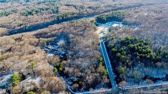 a view of a garden with plants and flowers
