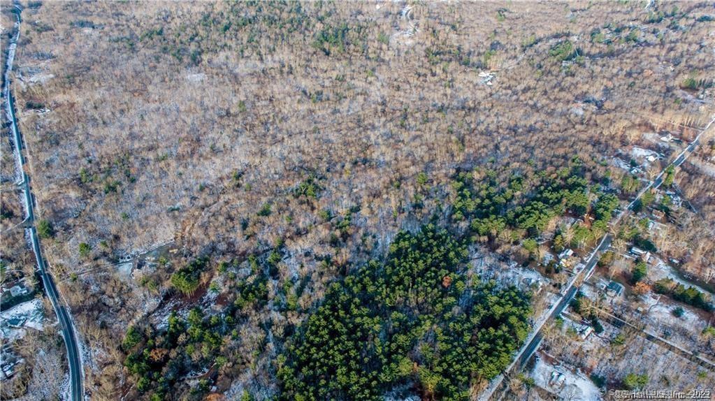 Tolland Stage Road Tolland, CT 06084 - Photo 10 of 11 a close up of a plant