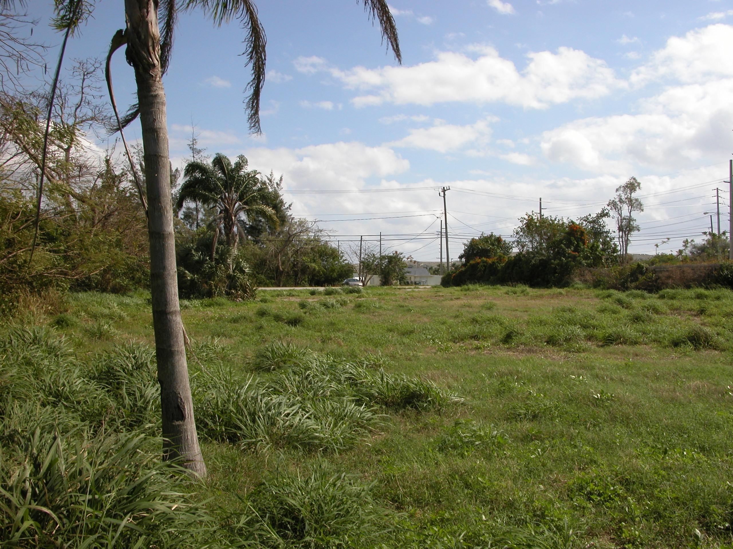 4473 Davis Road Lake Worth, FL 33461 - Photo 3 of 6 Panorama Practice0033