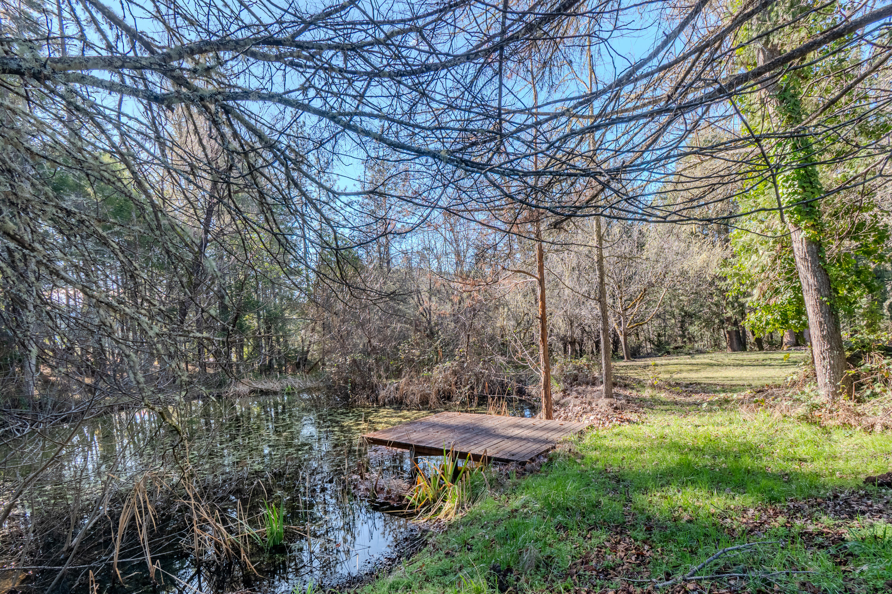 10950 Ramsey Road Gold Hill, OR 97525 - Photo 5 of 59 Dock and pond