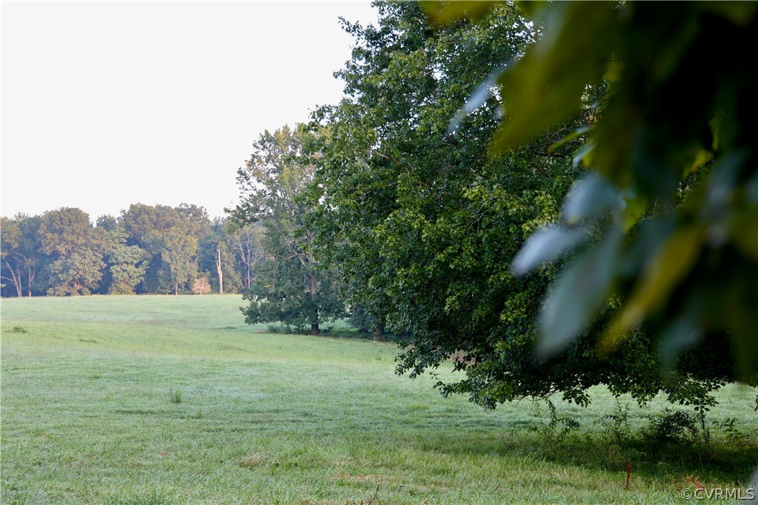 Lot 1 Parsons Road Beaverdam, VA 23015 - Photo 1 of 19 Gallery Image 1