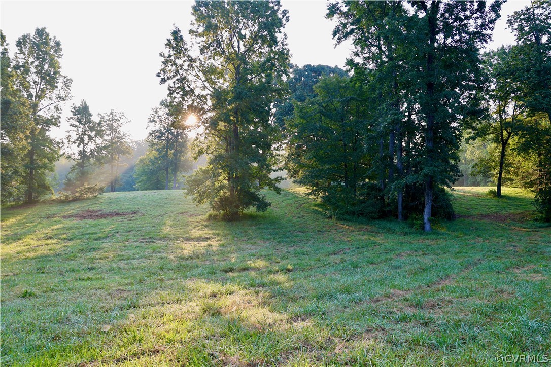 Lot 1 Parsons Road Beaverdam, VA 23015 - Photo 12 of 19 Gallery Image 12