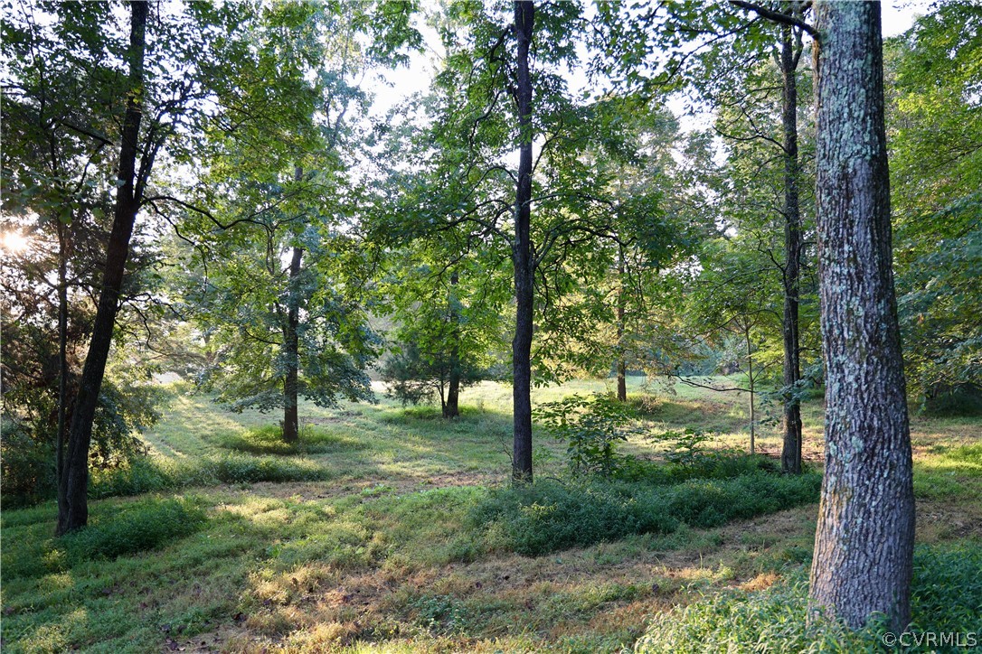 Lot 1 Parsons Road Beaverdam, VA 23015 - Photo 14 of 19 Gallery Image 14
