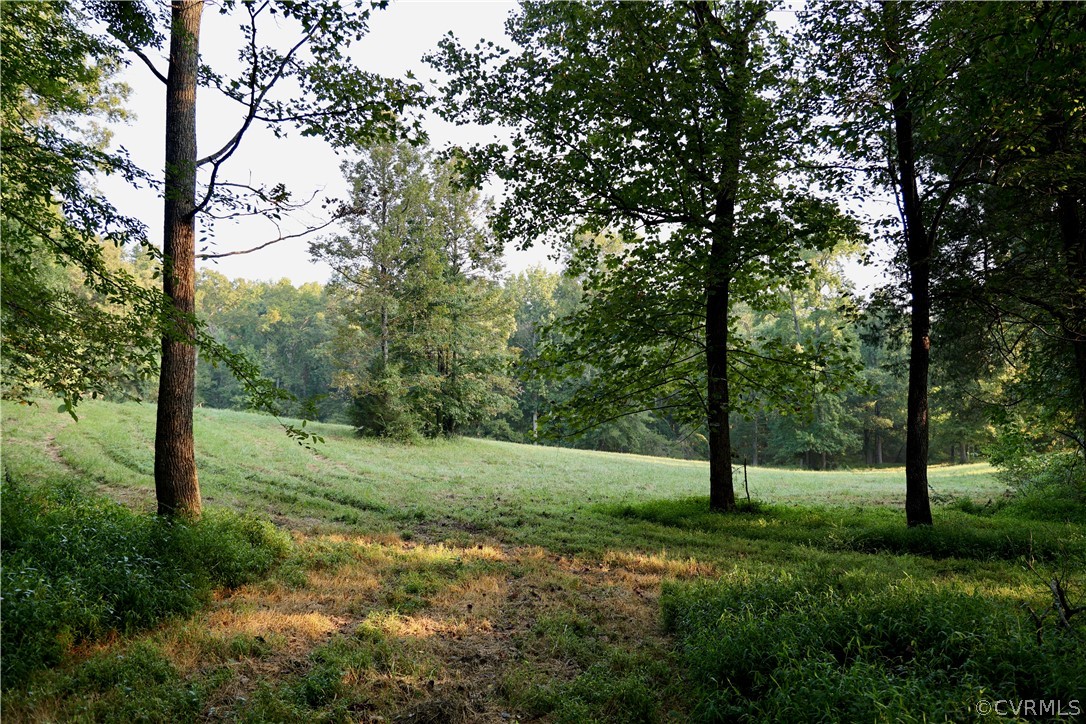 Lot 1 Parsons Road Beaverdam, VA 23015 - Photo 15 of 19 Gallery Image 15
