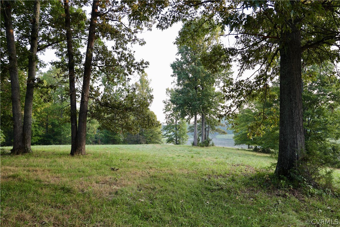 Lot 1 Parsons Road Beaverdam, VA 23015 - Photo 3 of 19 Gallery Image 3