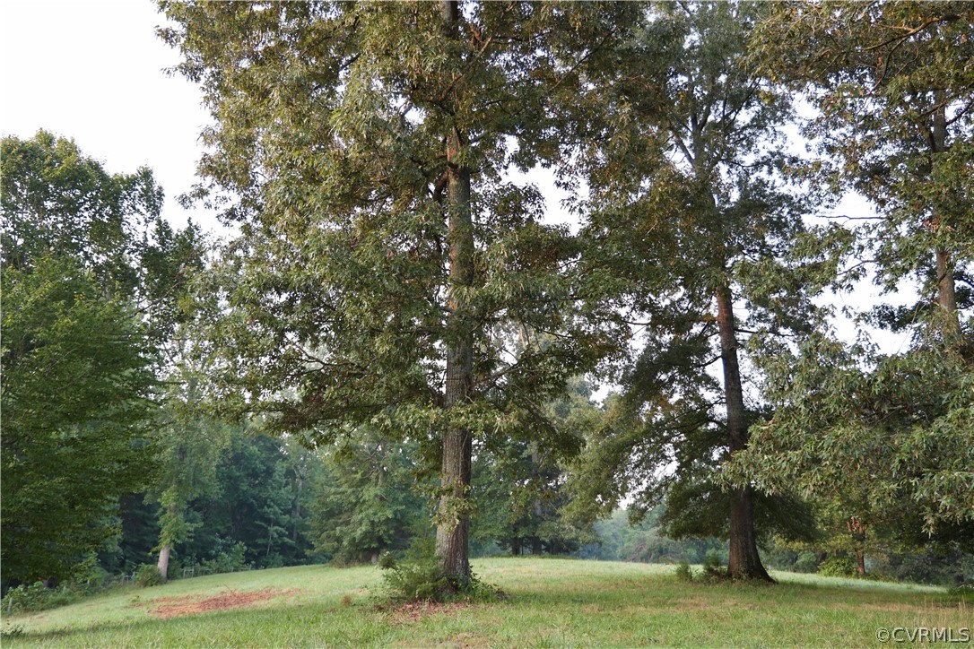 Lot 1 Parsons Road Beaverdam, VA 23015 - Photo 4 of 19 Gallery Image 4