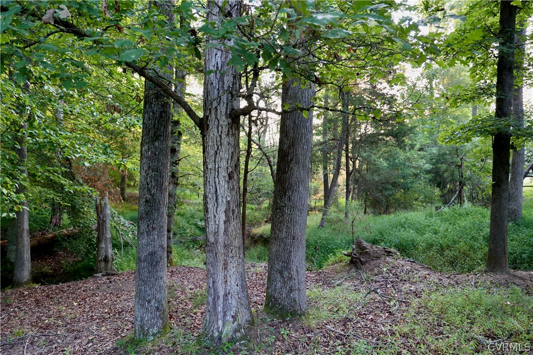 Lot 1 Parsons Road Beaverdam, VA 23015 - Photo 7 of 19 Gallery Image 7