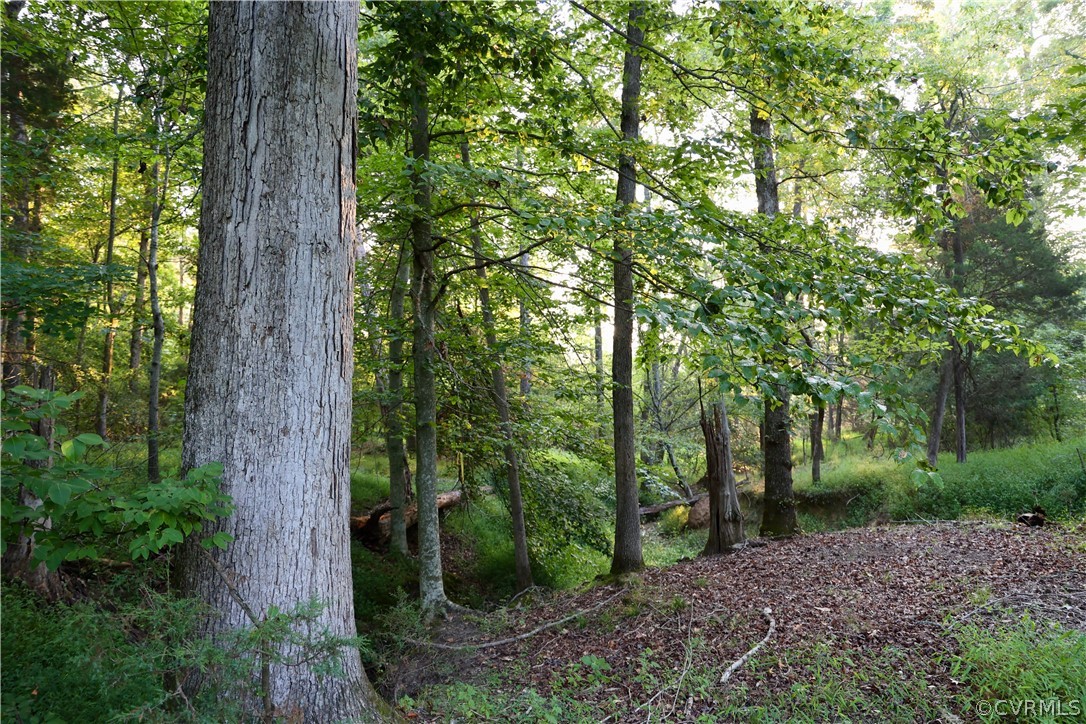 Lot 1 Parsons Road Beaverdam, VA 23015 - Photo 8 of 19 Gallery Image 8