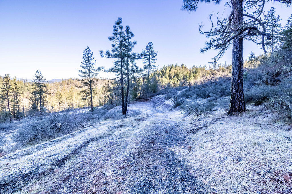 0 Waldo Road, Unit 403 Cave Junction, OR 97523 - Photo 4 of 17 a view of a yard