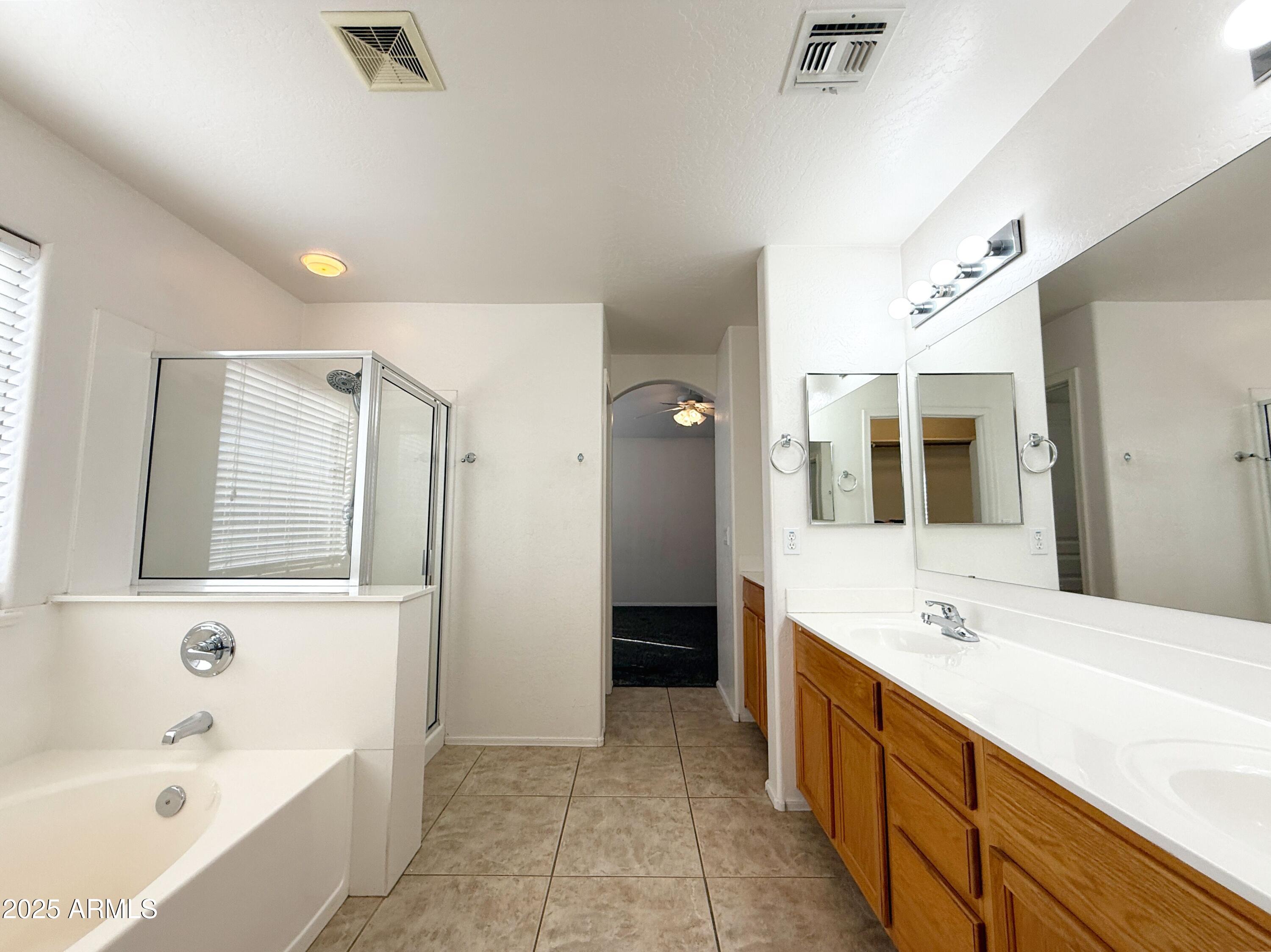 3363 East Flamingo Court Gilbert, AZ 85297 - Photo 18 of 29 a spacious bathroom with a tub sink and mirror