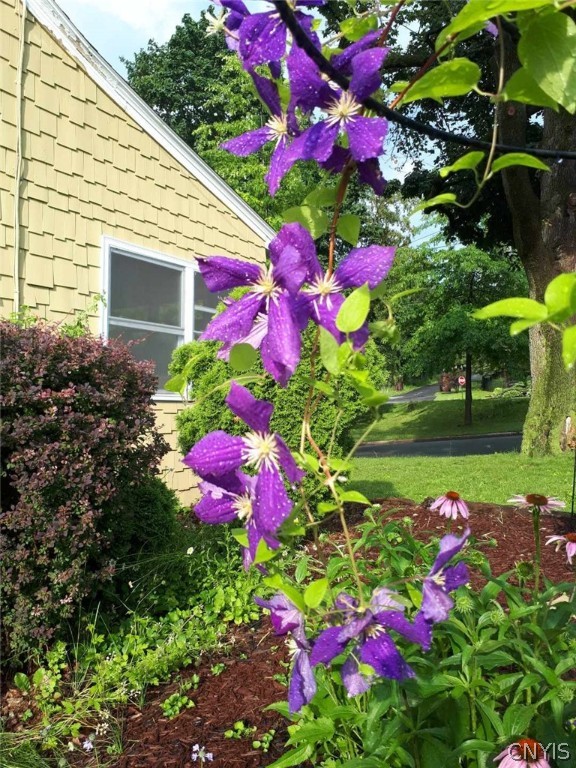 87 Ballantyne Brae Utica, NY 13501 - Photo 27 of 27