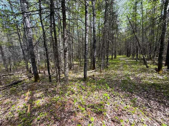 $44,000 | 72-xx East Central Lakes Road, Eveleth, MN 55734