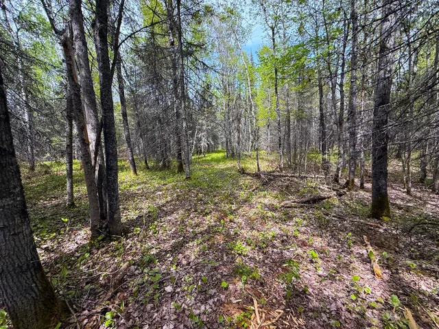 $44,000 | 72-xx East Central Lakes Road, Eveleth, MN 55734